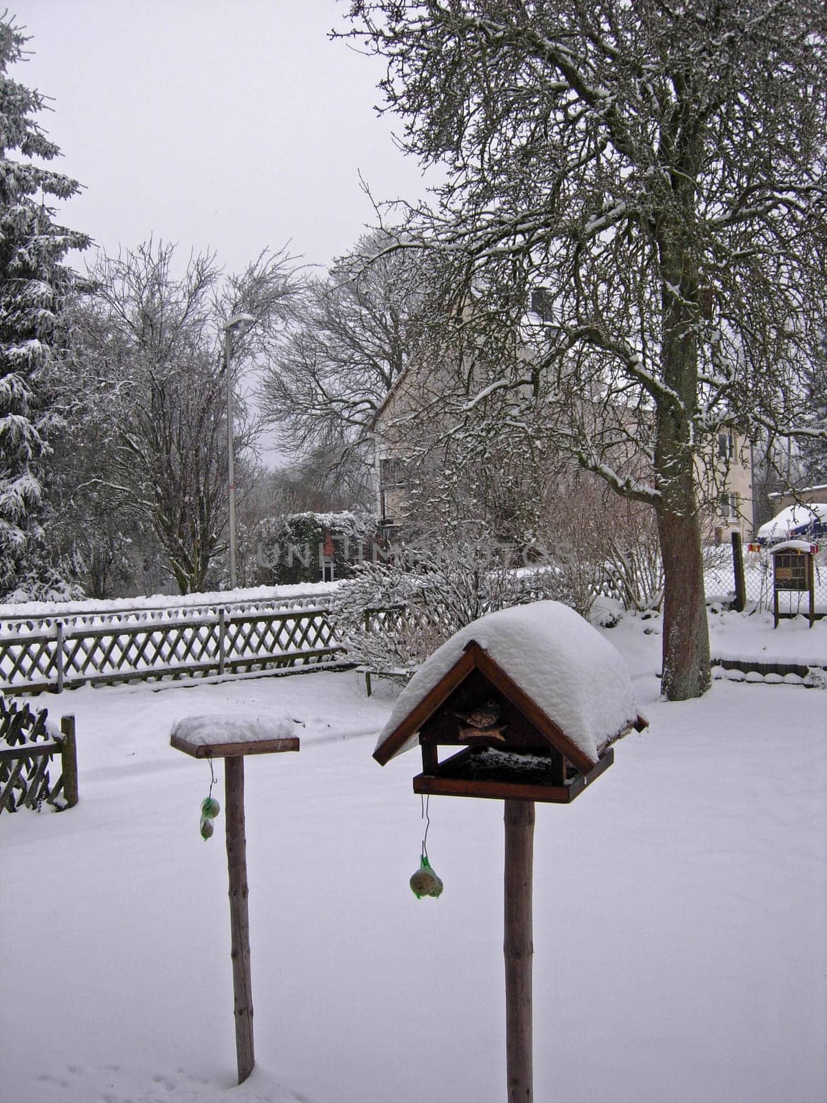 Winter garden with feeder house