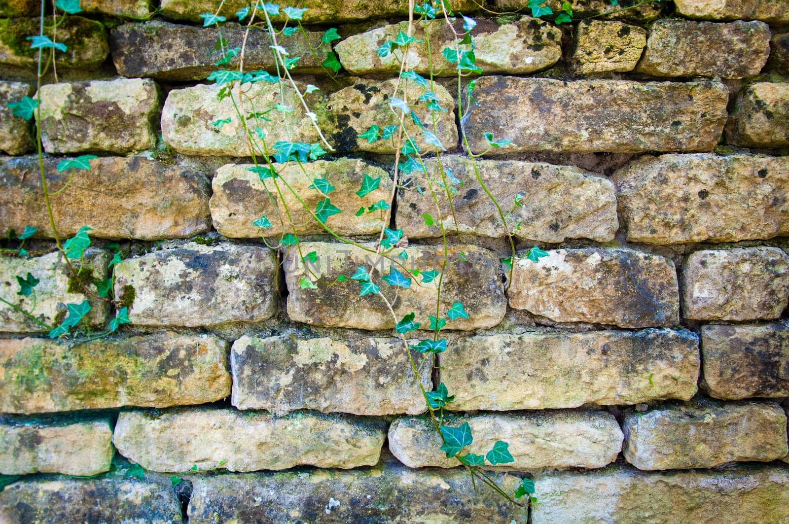 Background Texture Of English Rustic Stone Wall
