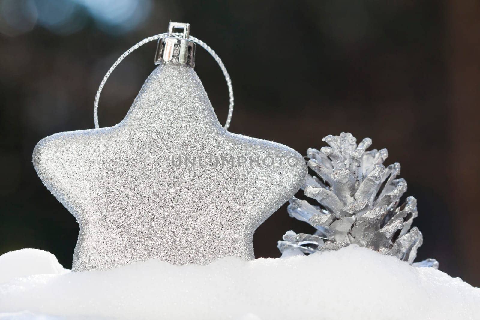 Silver christmas decoration with star and cone in the snow