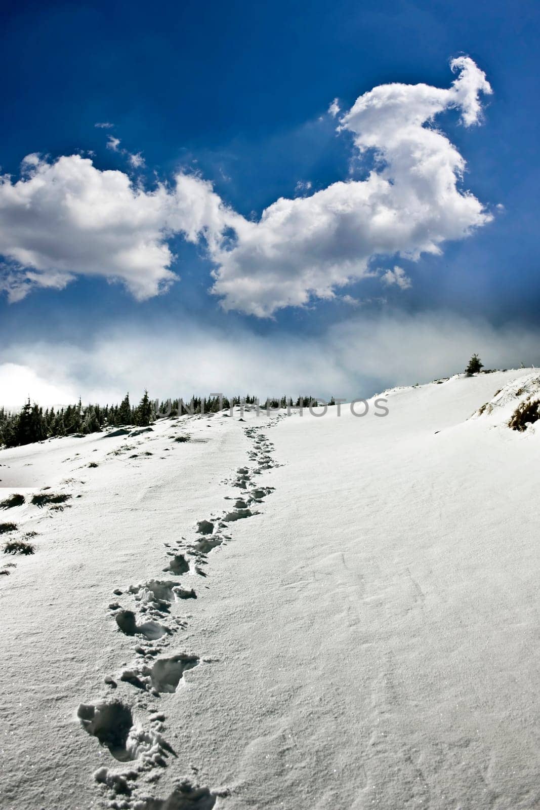 Snowy path on the hillside and beautiful abtract evening sky