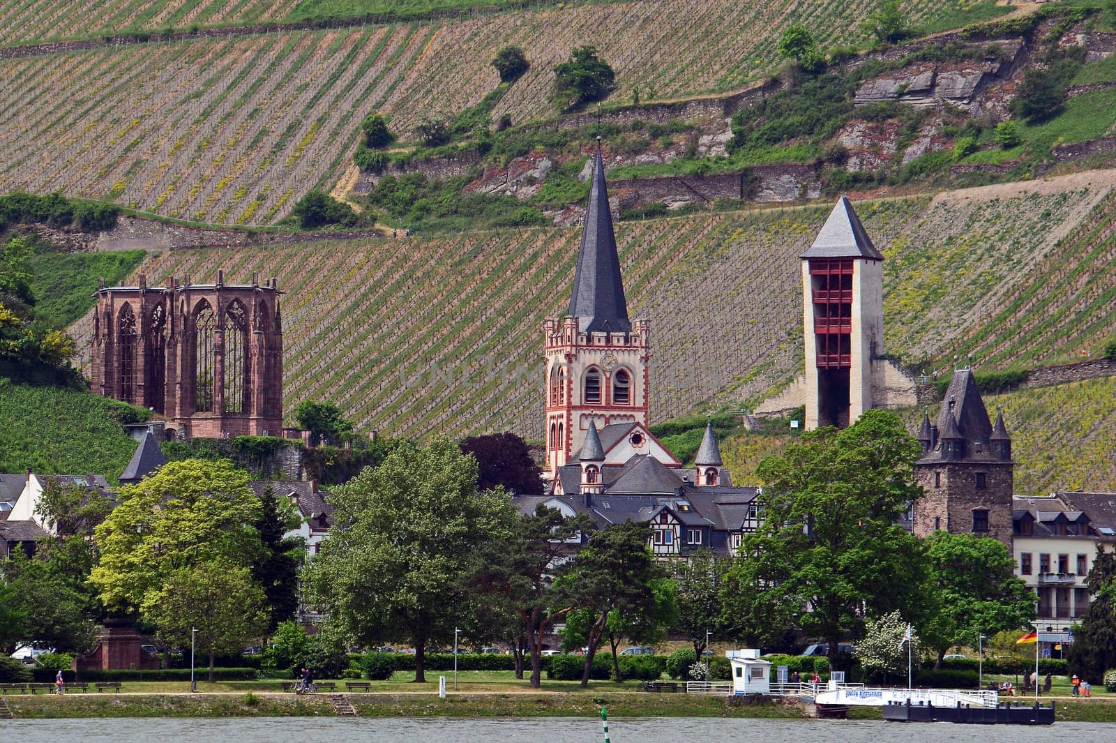 Bacharach