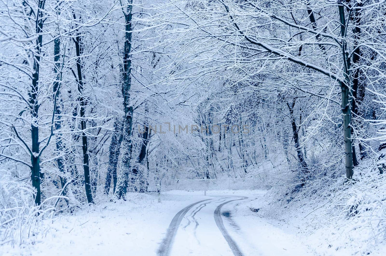 Rural road after snowfall. In the middle a fresh vehicle lane.