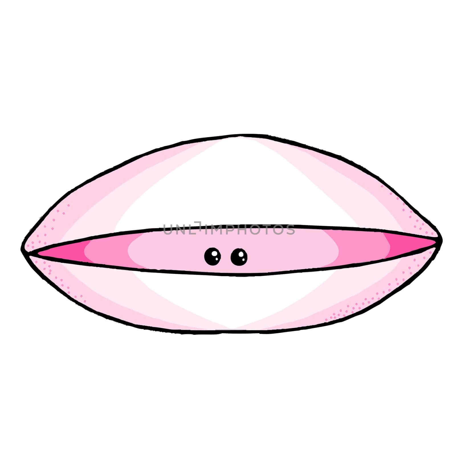 Baby Clam
