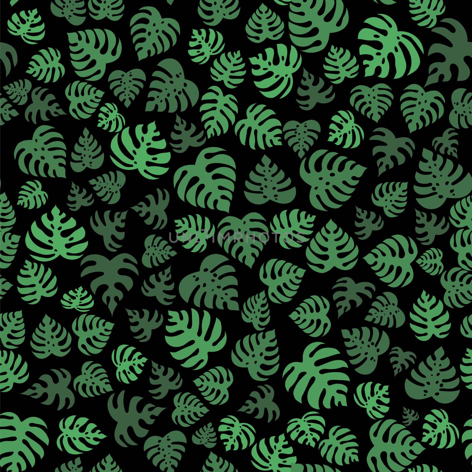 Icons with tropical palm leaves, monstera. Beautiful hand drawn exotic plants. Floral seamless background. Monsters isolated on black background. Monstera leaves, jungle.