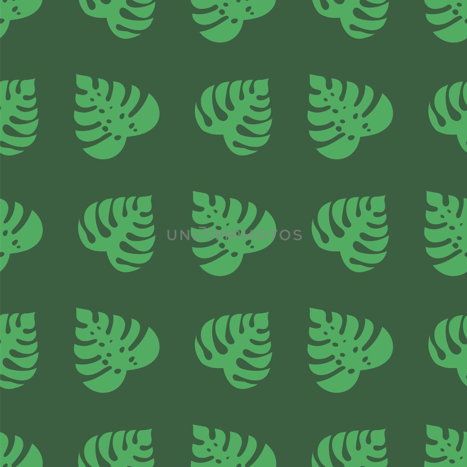 Icons with tropical palm leaves, monstera. Beautiful hand drawn exotic plants. Floral seamless background. Monsters isolated on green background. Monstera leaves, jungle.
