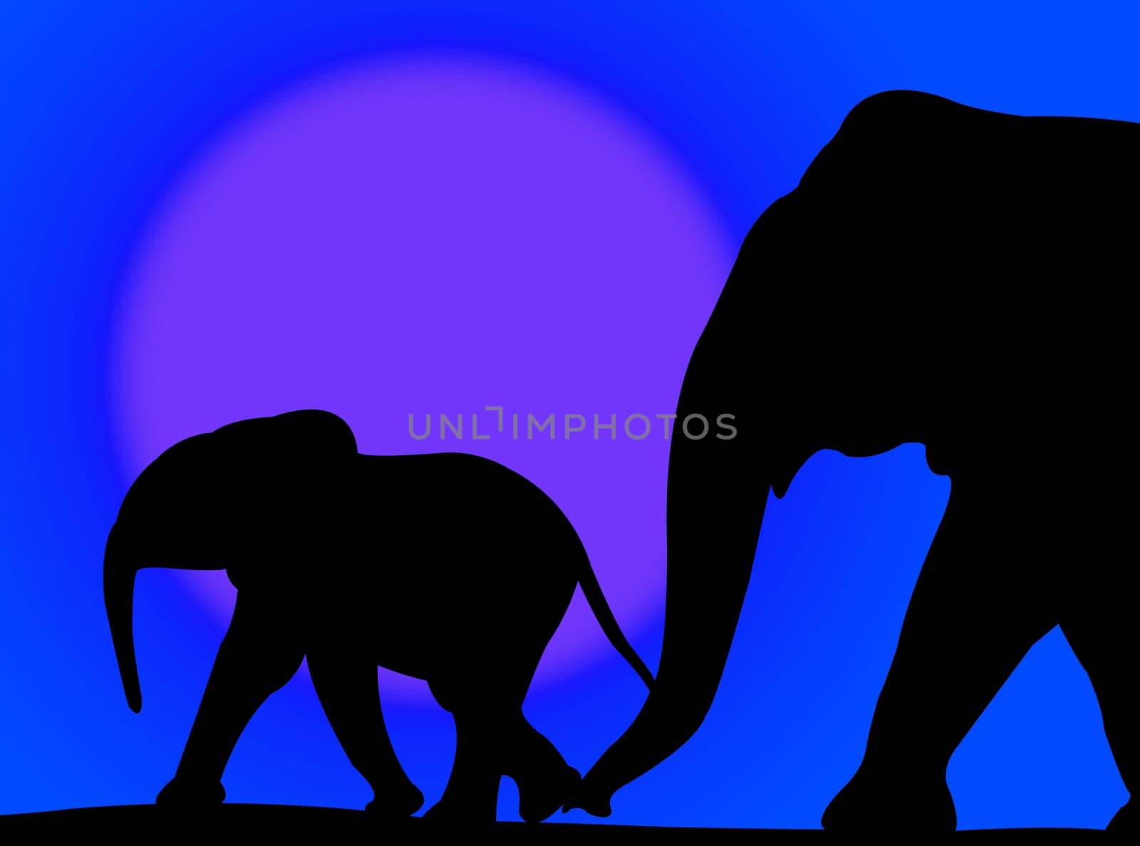 Elephant and her baby walking on a colorful sunset