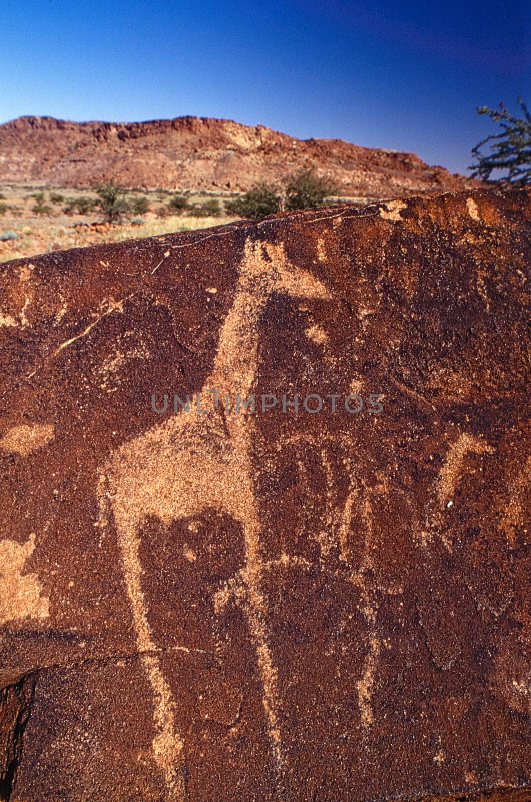 petroglyphs of the archaeological site of twyfelfontein, africa, namibia.