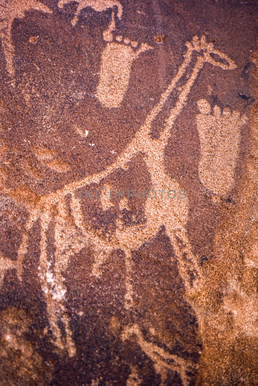 petroglyphs of the archaeological site of twyfelfontein, africa, namibia.