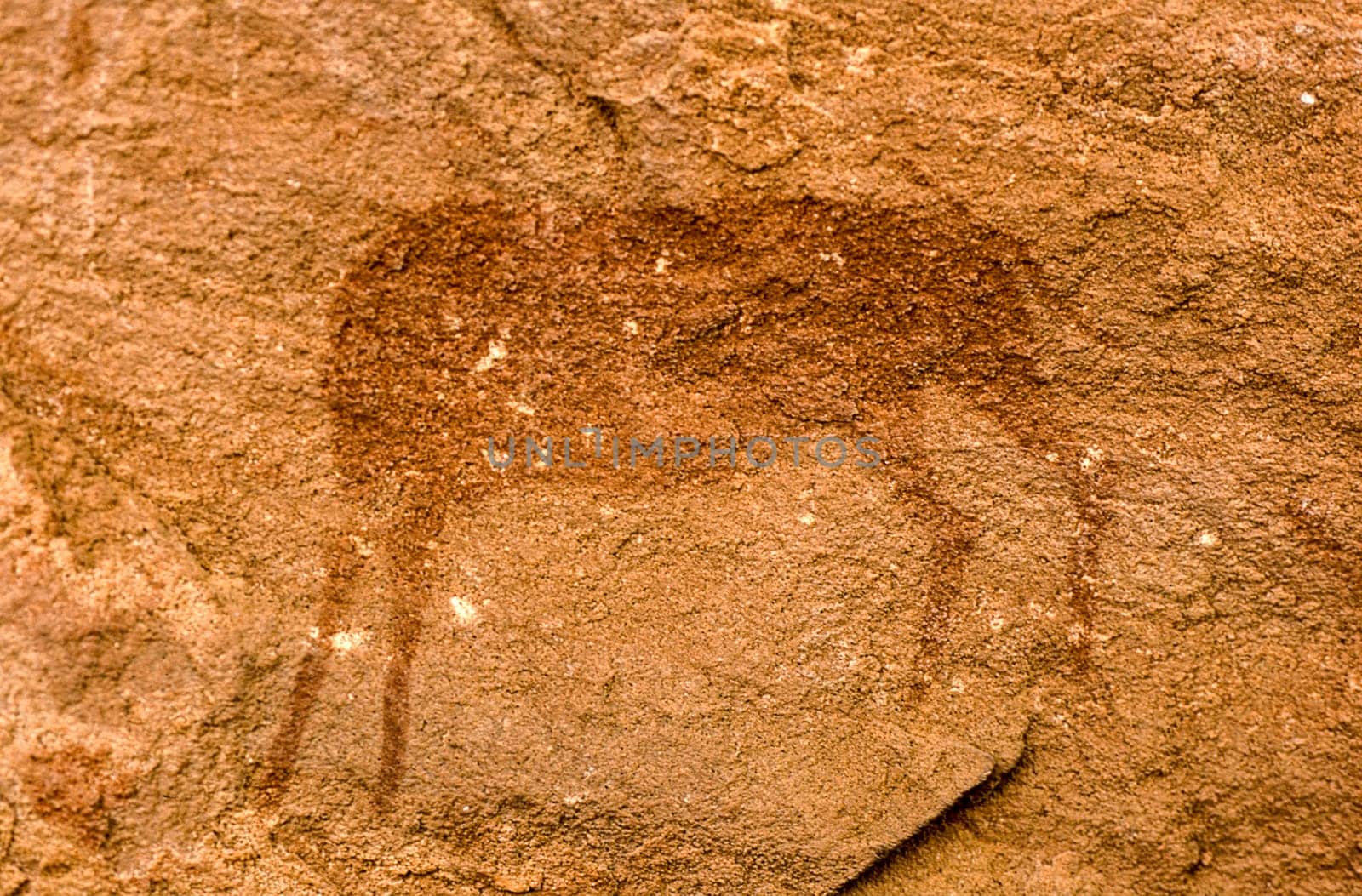 petroglyphs of the archaeological site of twyfelfontein, africa, namibia.
