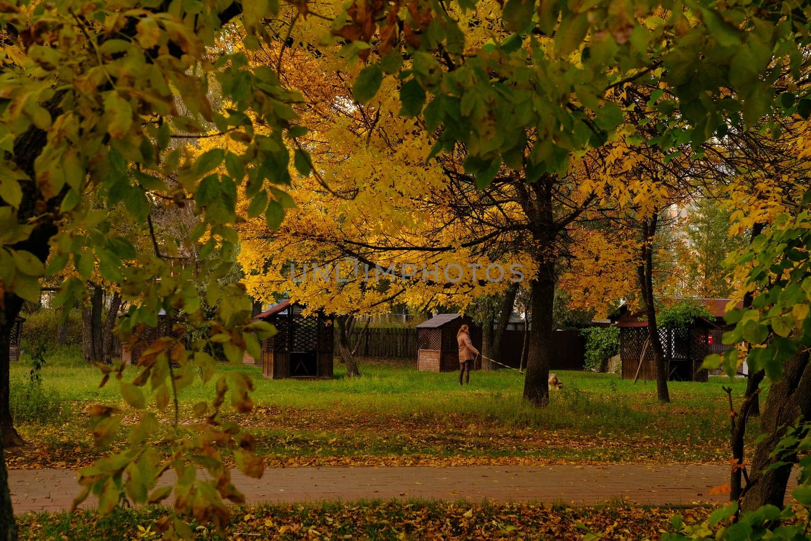 woman walking with a dog in autumn park with orange and yellow foliage around the age of 40, concept of autumn walks with pets.