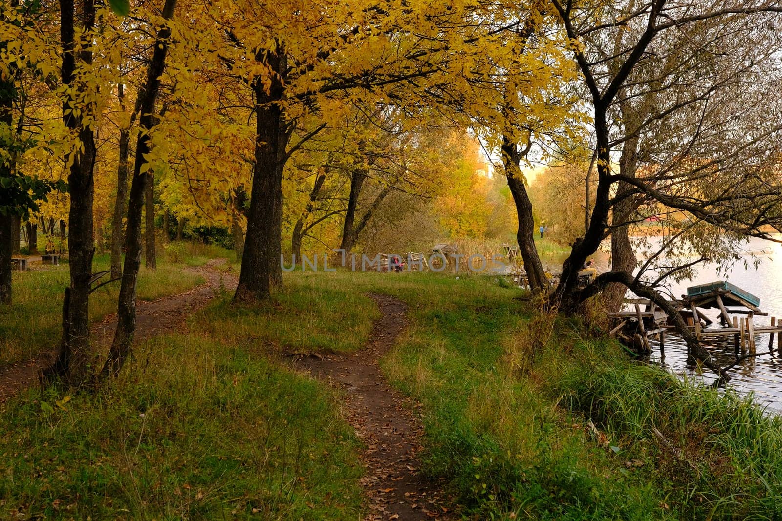 Colorful trees with pathway in autumn landscape in deep forest. The autumn colors in the forest create a magnificent view. autumn view in nature