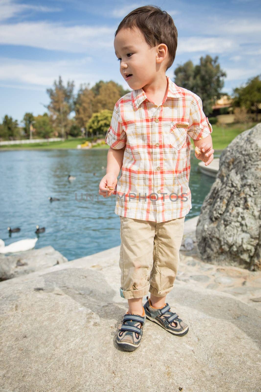 Young Chinese and Caucasian Boy Having Fun at the Park and Duck Pond.