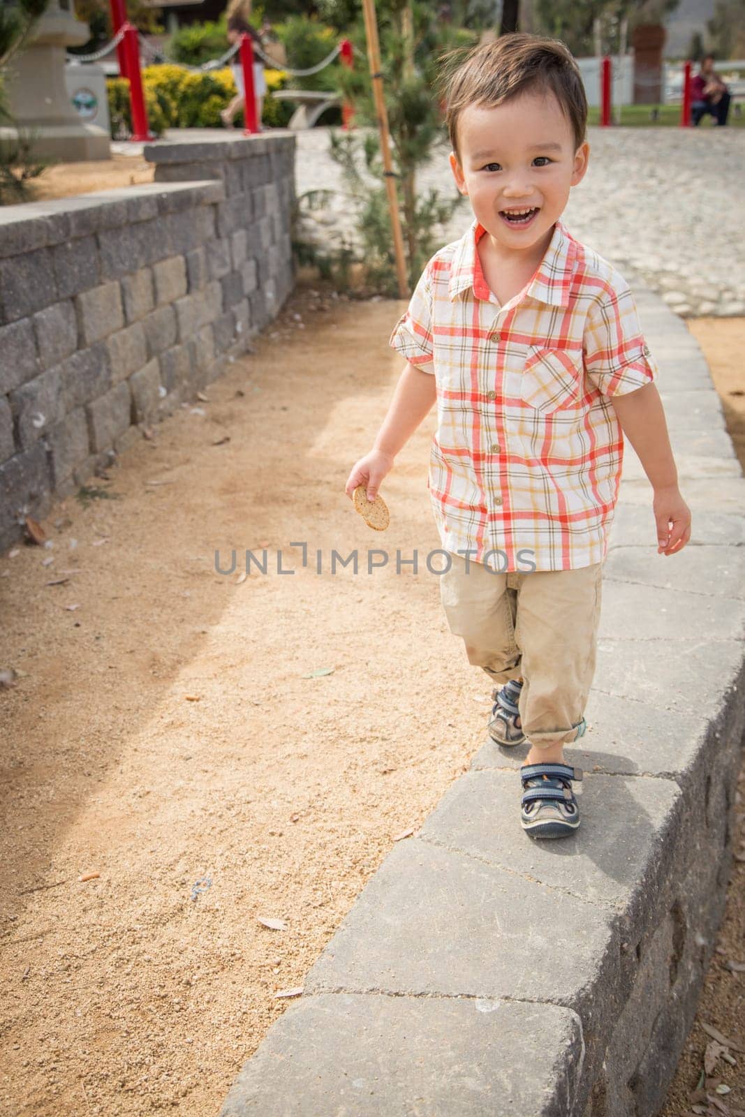 Young Chinese and Caucasian Boy Having Fun at the Park.