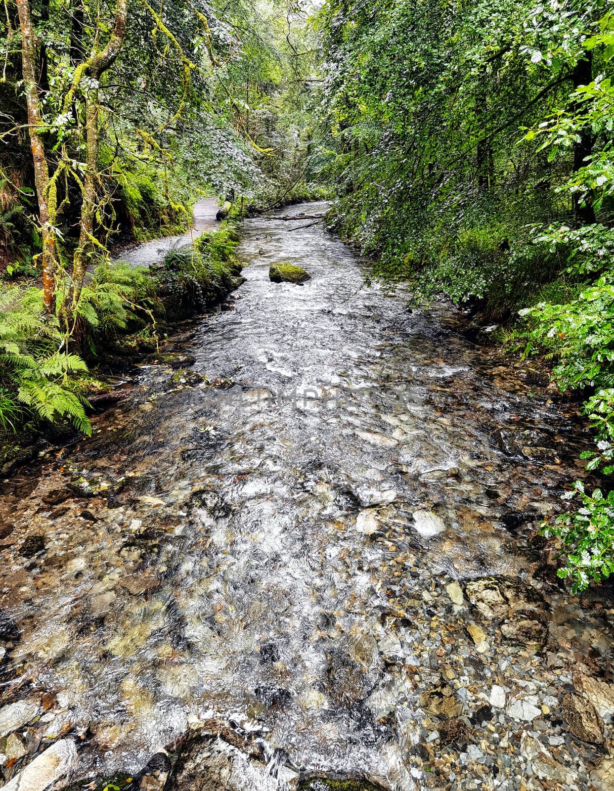 River Lyd in Lydford Gorge, Dartmoor National Park, Devon, United Kingdom