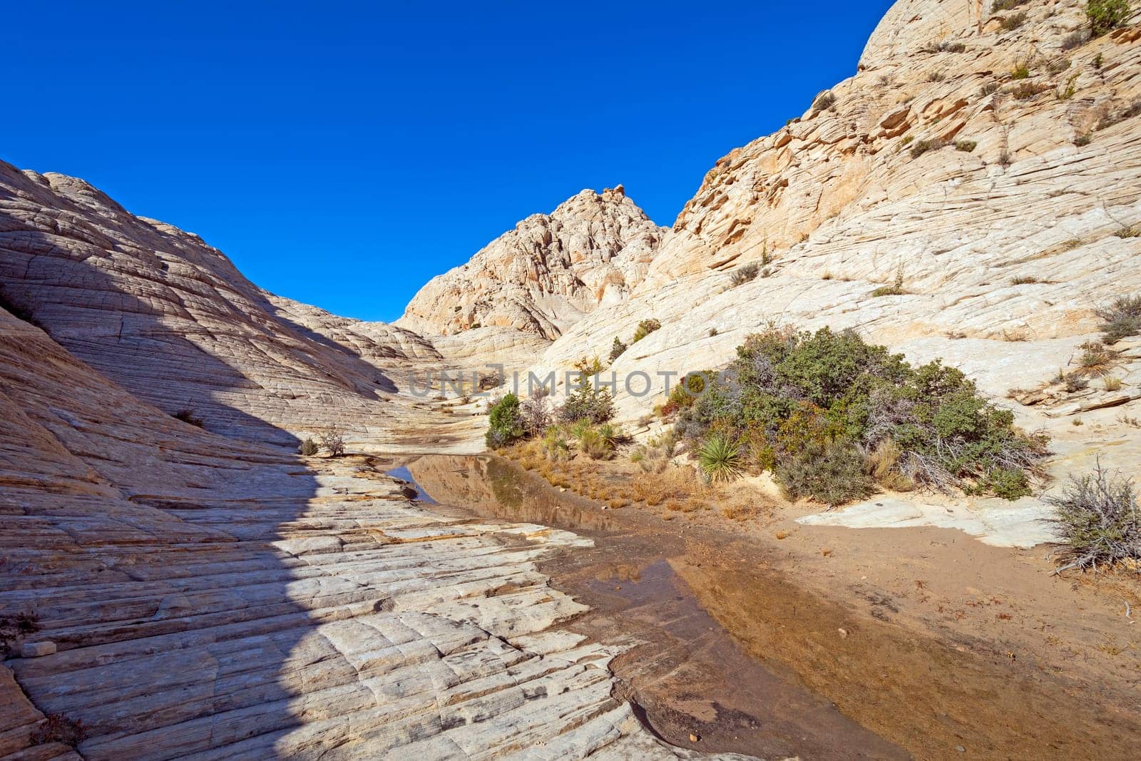 Spring Waters in a White Rock Canyon in Snow Canyon State Park in Utah