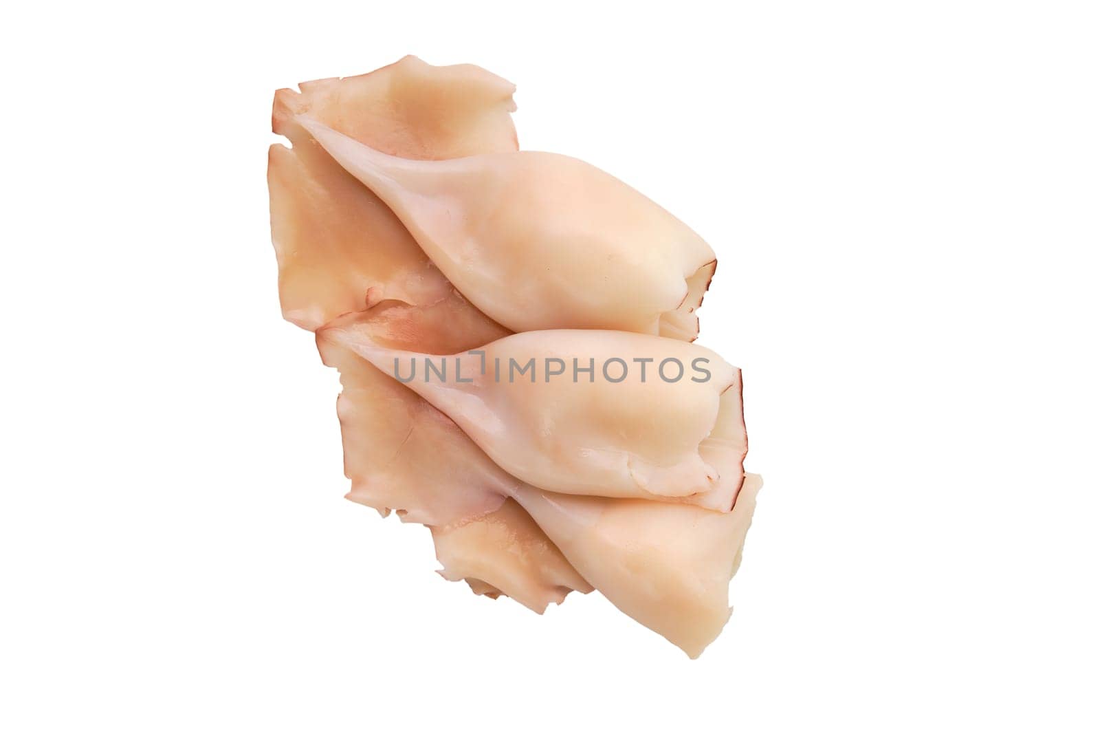 Top view of pilled squid isolated on white background