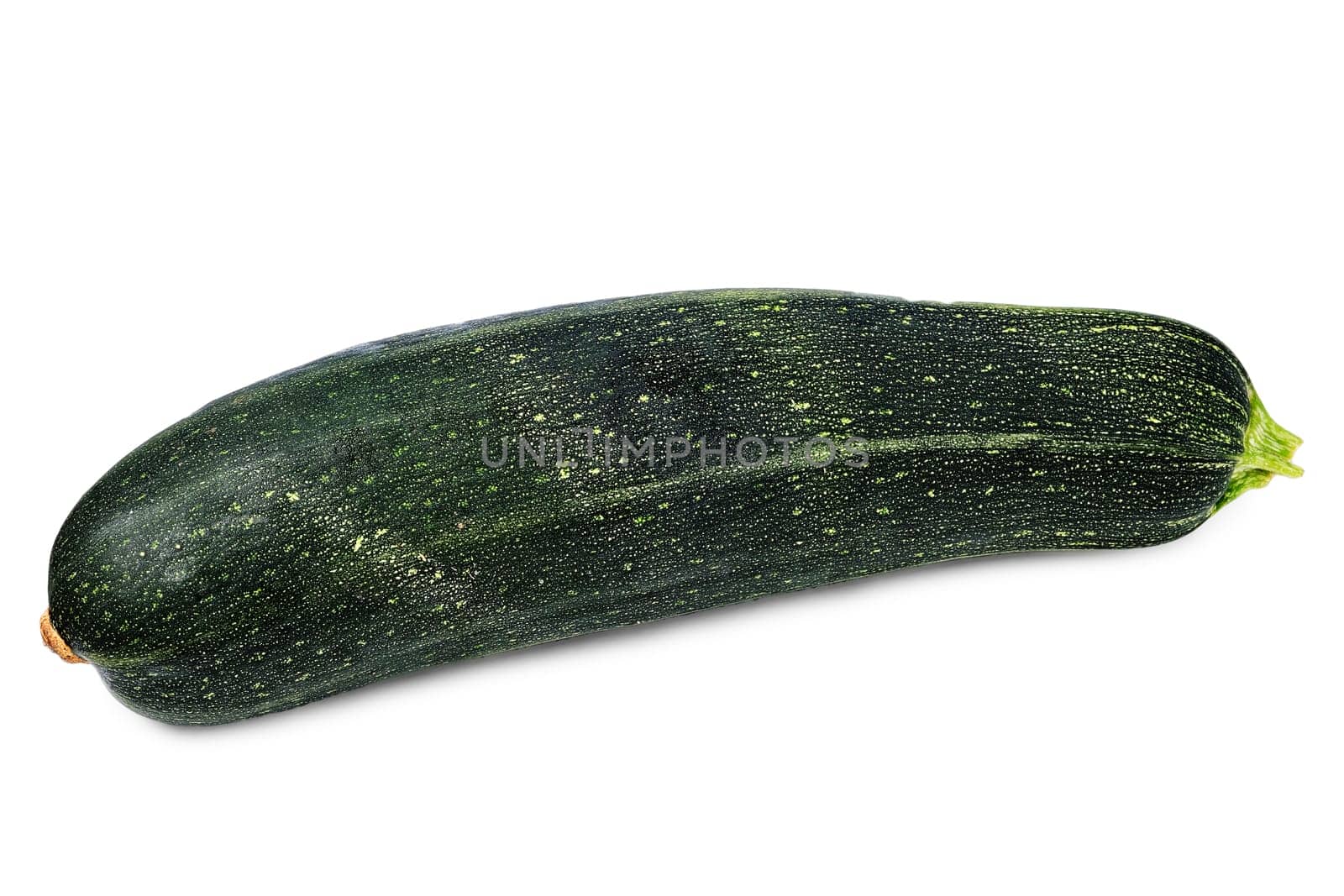Fresh marrow squash isolated on white background