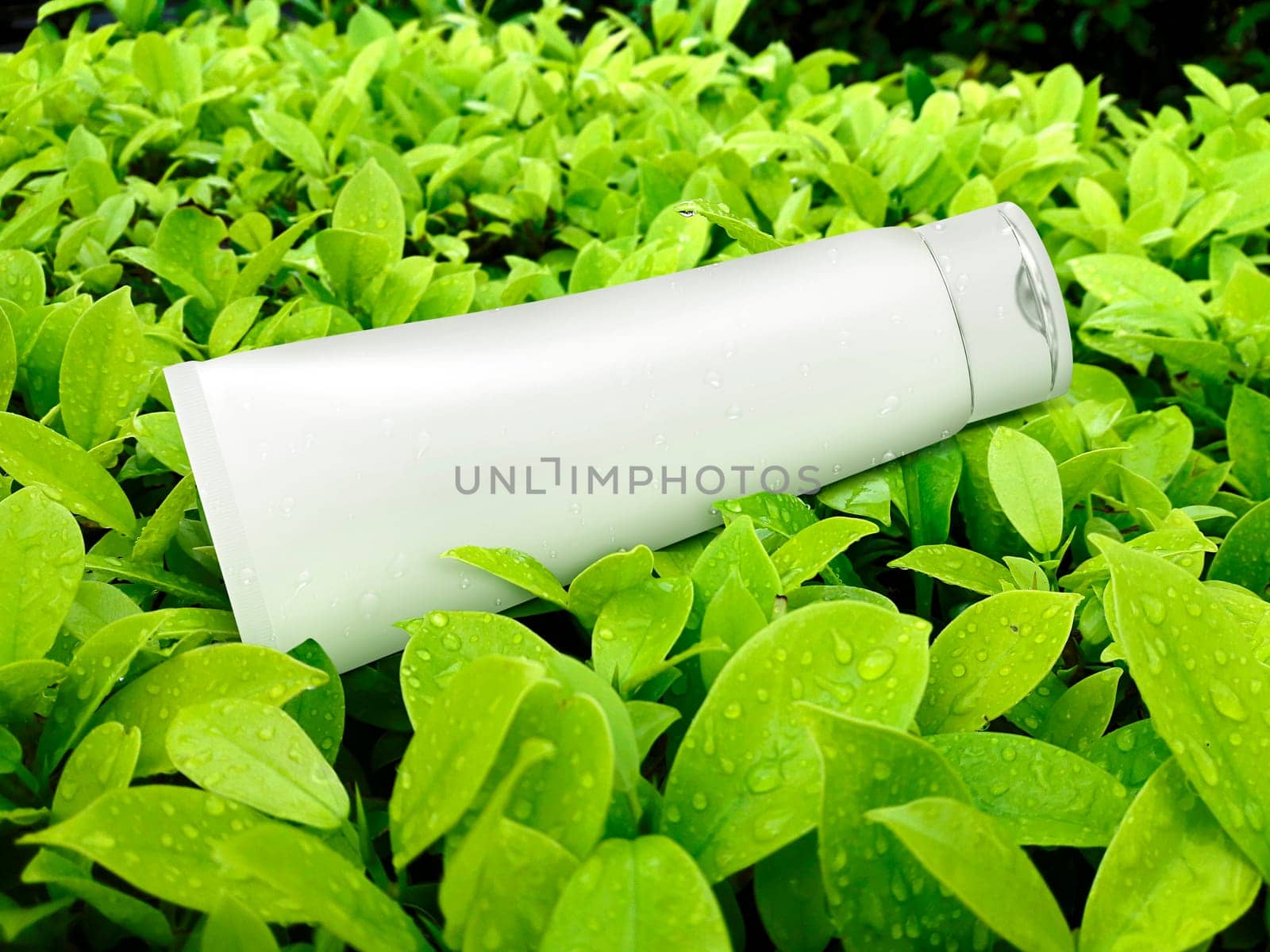cosmetic plastic tube on green leaf background