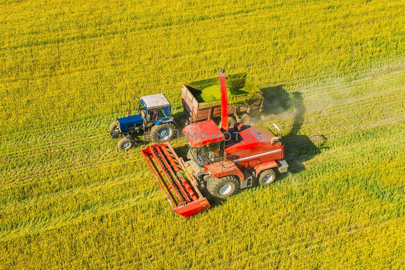 Aerial View Of Rural Landscape. Combine Harvester And Tractor Working Together In Field. Harvesting Of Oilseed In Spring Season. Agricultural Machines Collecting Blooming Rapeseeds Canola Colza. Elevated View.