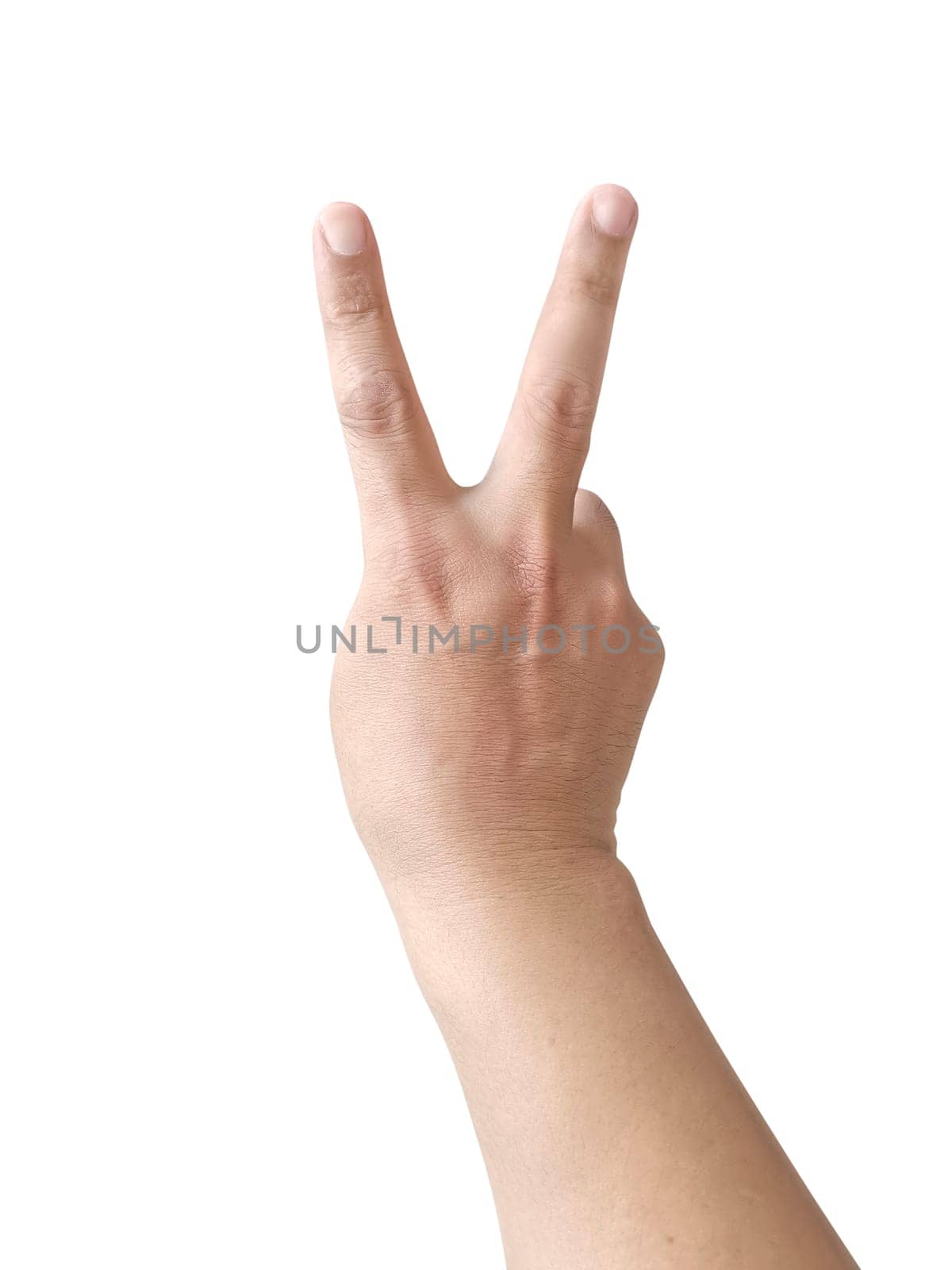 isolated human hand on white background