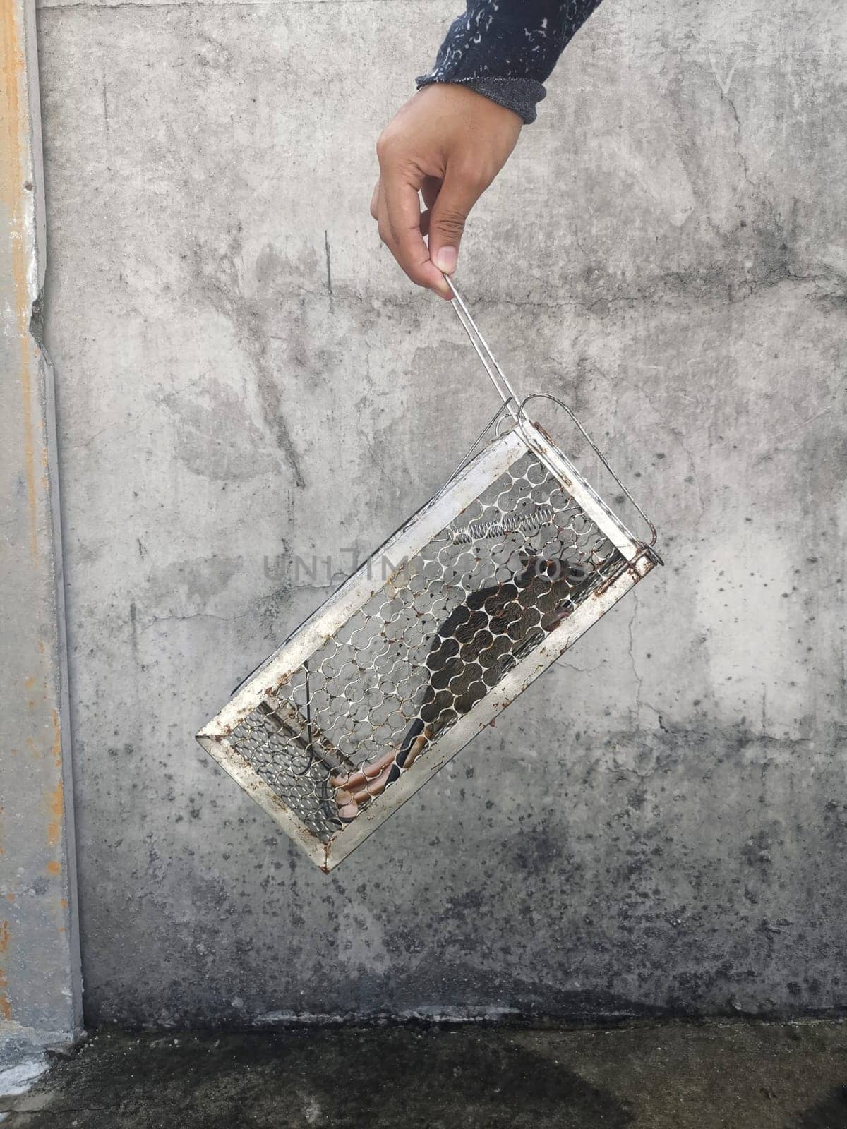 Rats stuck in a cage Rats in the house