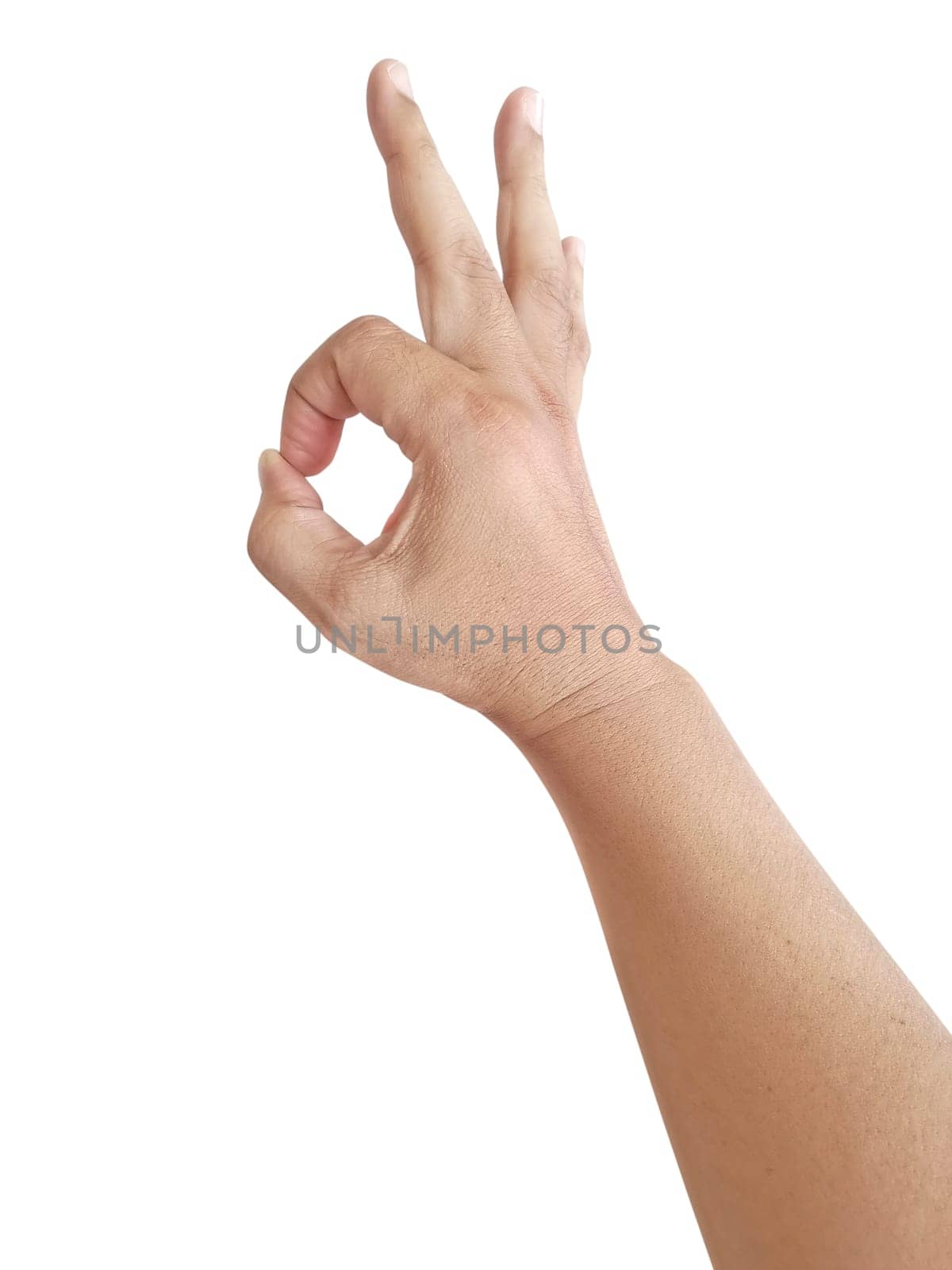 isolated human hand on white background