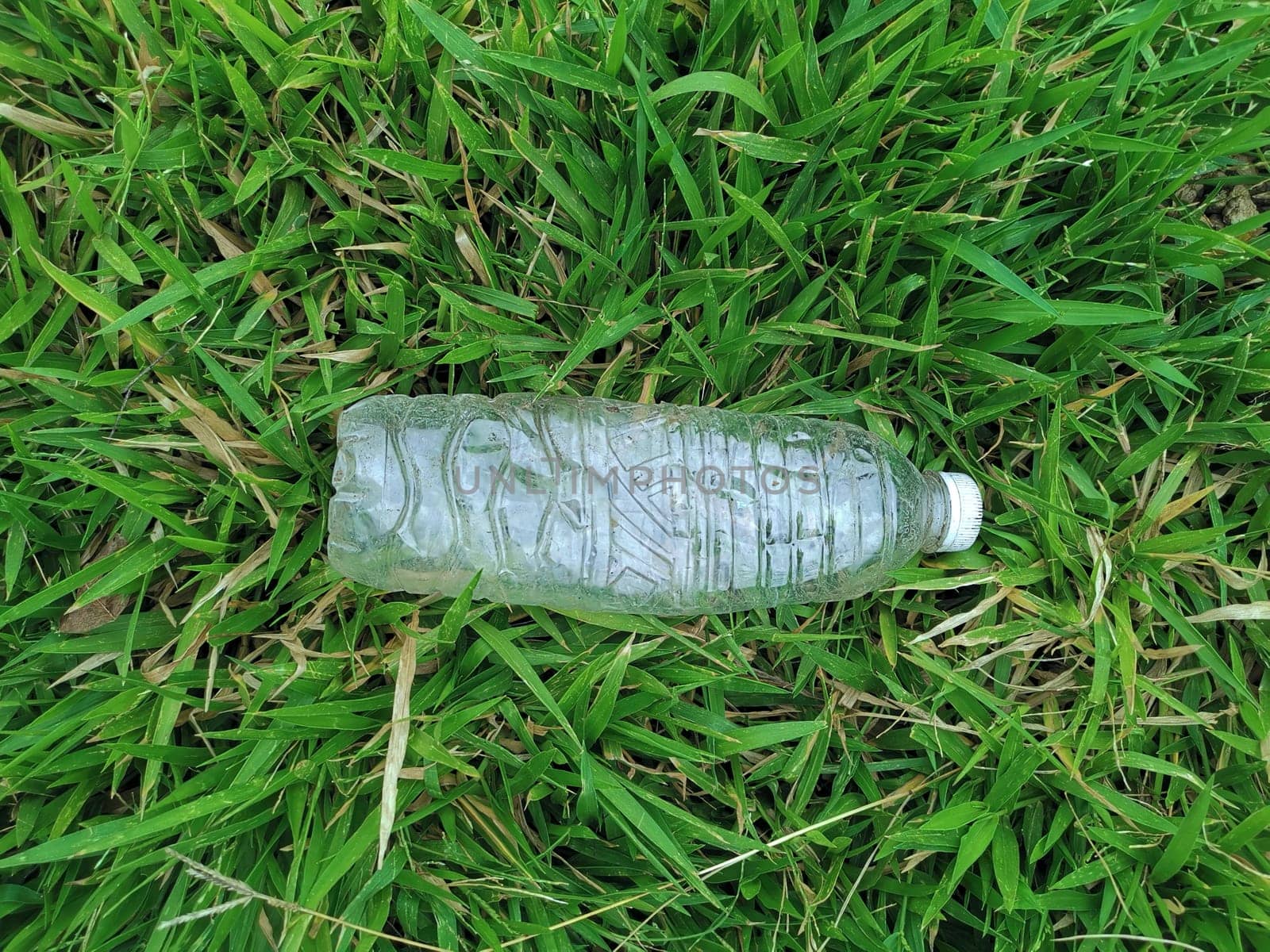 Bottle of fresh water on green grass, top view