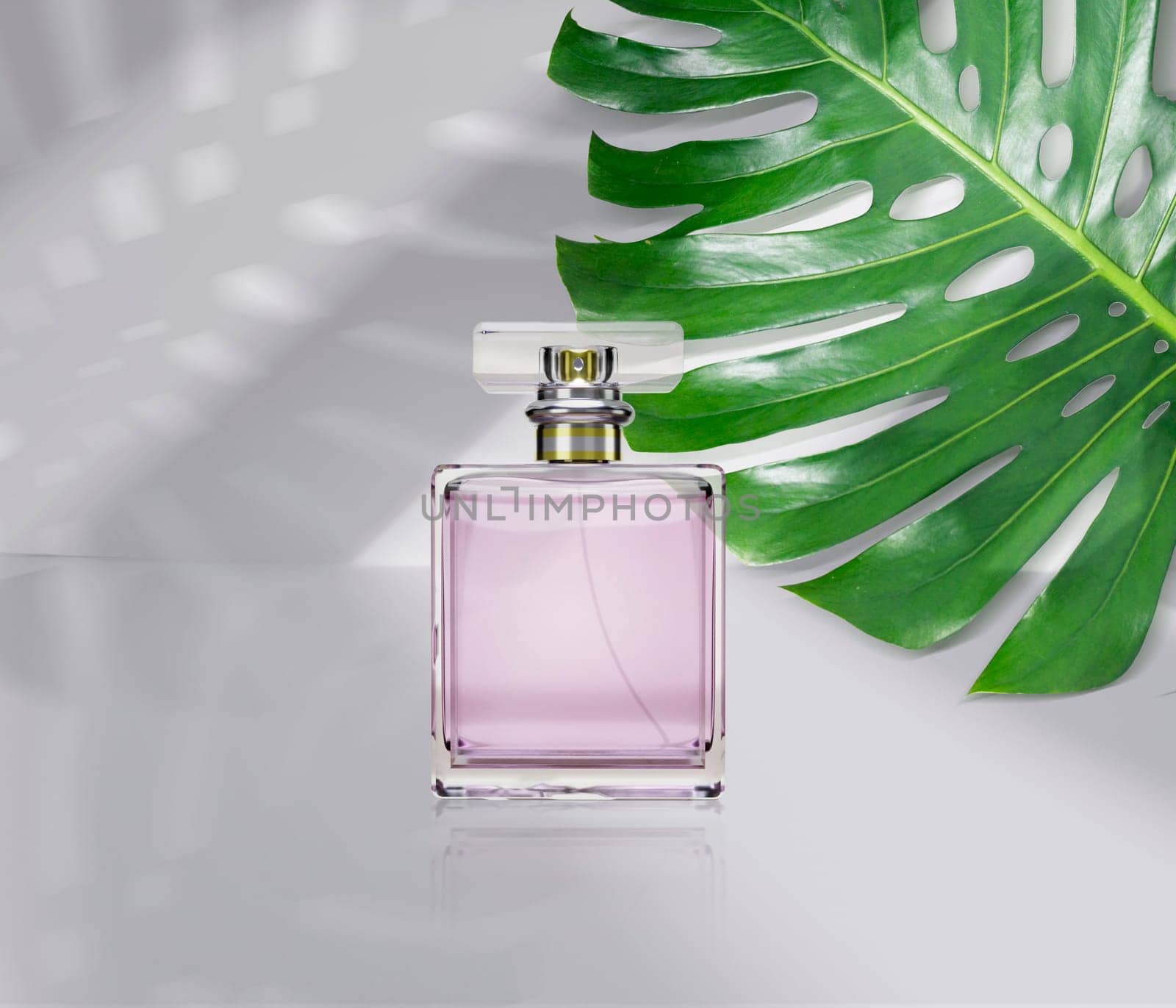 perfume bottle product advertisement, with monstera leaf background. 3d render