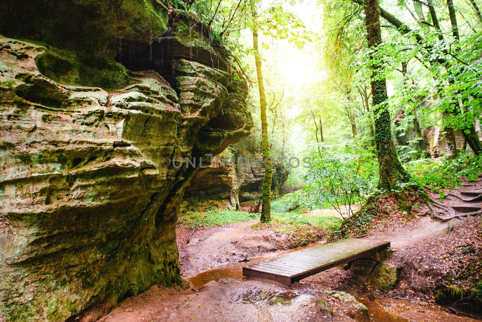 Mullerthal trail in Luxembourg between Echternach and Berdorf, hiking through a forest with sandstone rock formations
