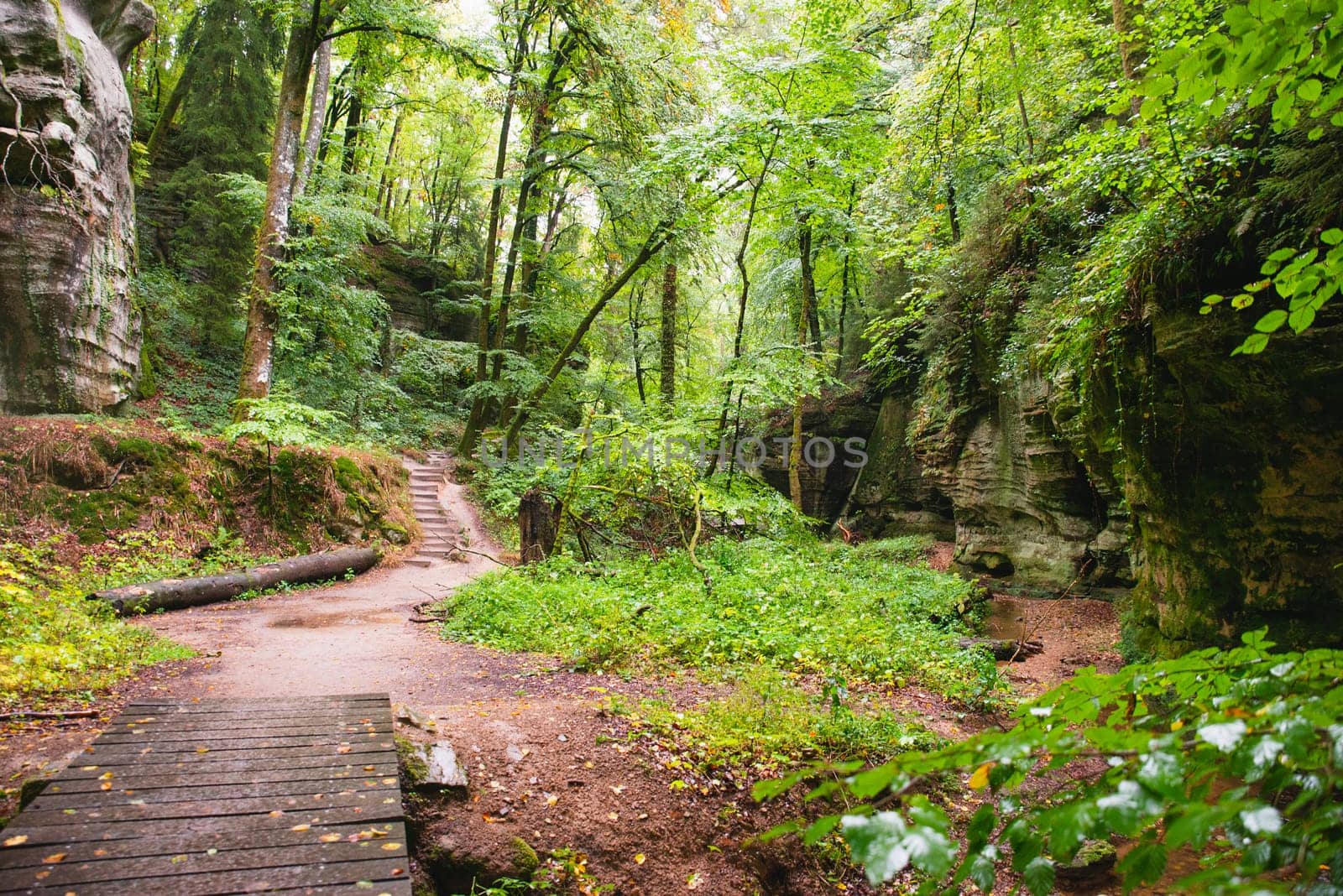 Mullerthal trail in Luxembourg between Echternach and Berdorf, hiking through a forest with sandstone rock formations