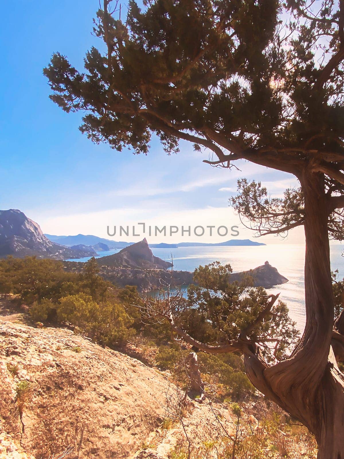 Majestic mountain landscape under the morning sky. Mountains, forest, sky, clouds, mountain peaks sea