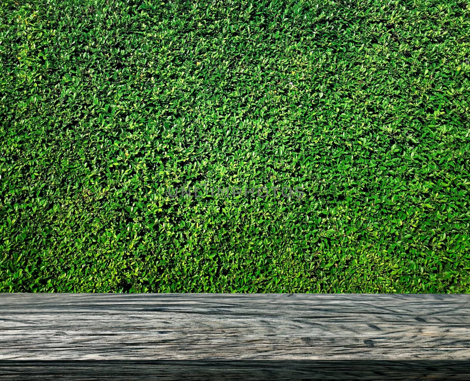 Empty wooden table and grass wall background. For product display