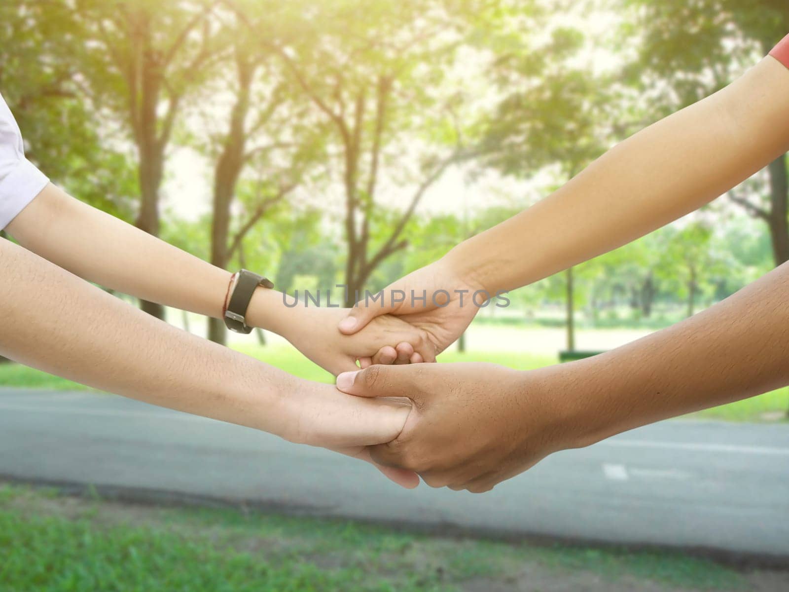 Image of a couple holding hands in a park