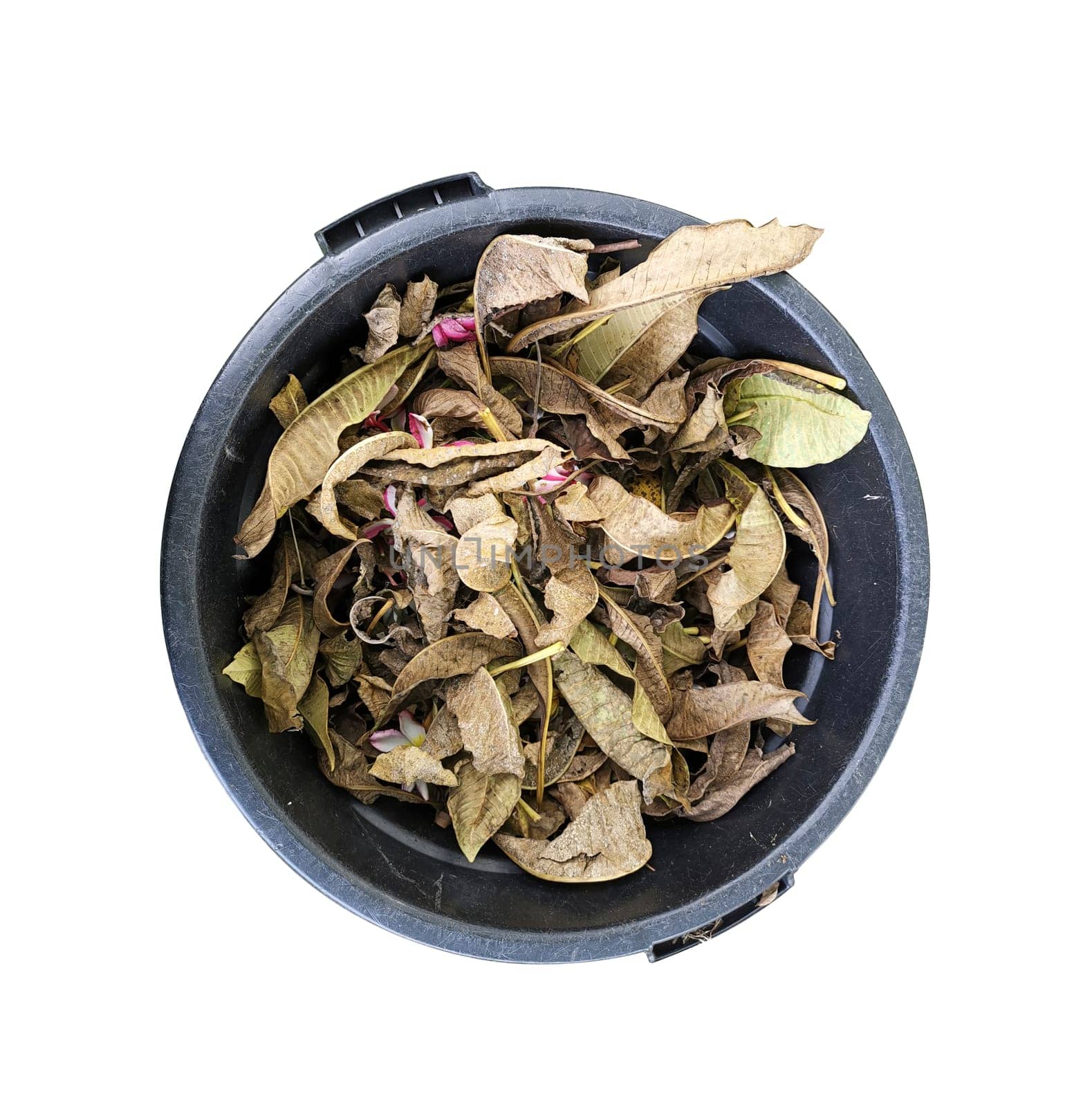 dry leaves in a black trash can