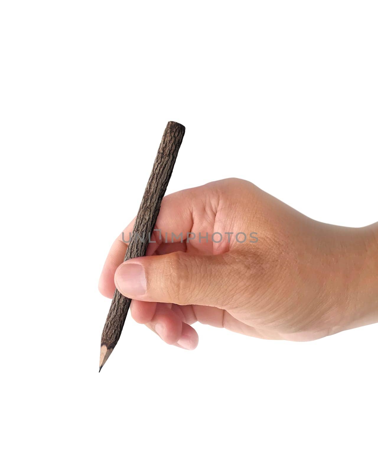 Isolated pencil in hand on a white background