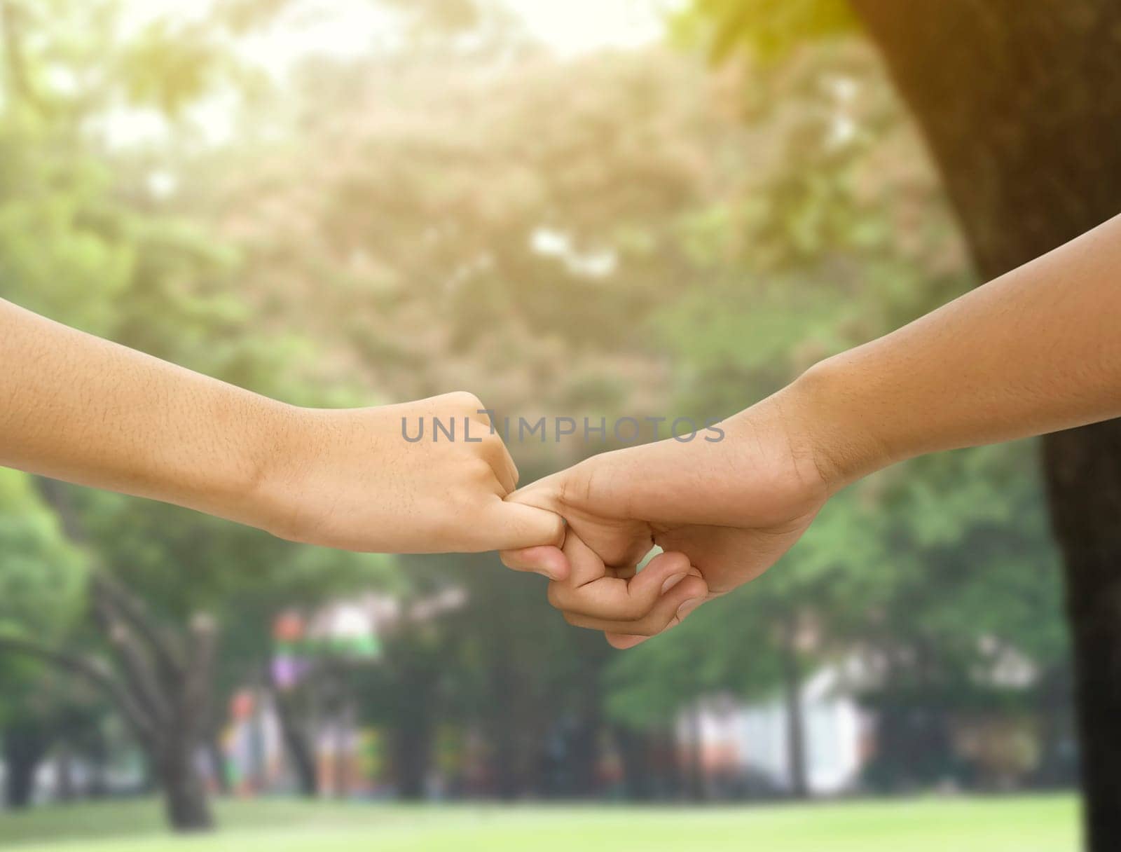 Image of a couple holding hands in a park