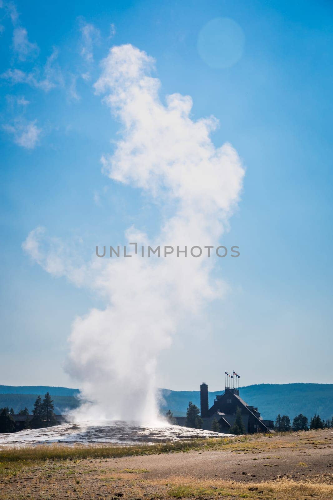 Old Faithful Geyser Erupting at Yellowstone National Park.