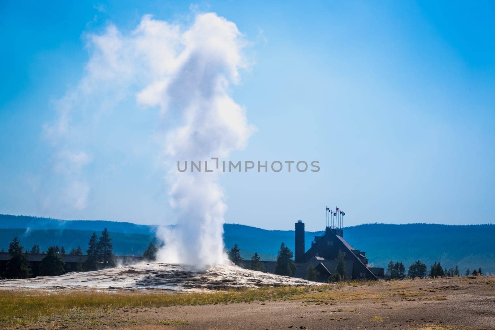Old Faithful Geyser Erupting at Yellowstone National Park.