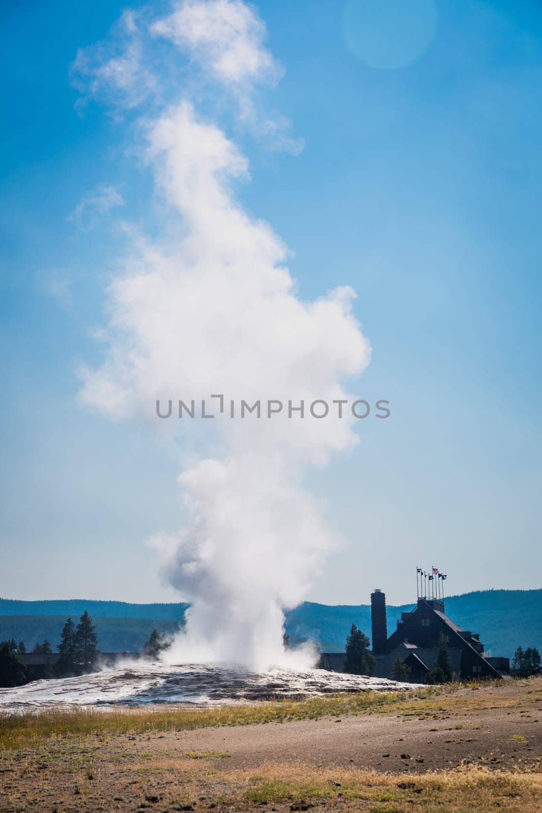 Old Faithful Geyser Erupting at Yellowstone National Park.