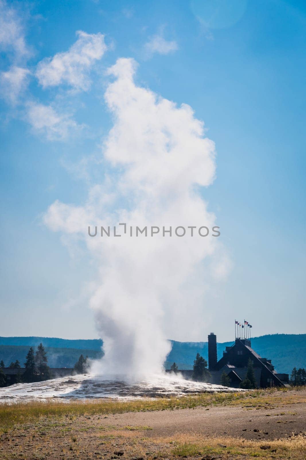 Old Faithful Geyser Erupting at Yellowstone National Park.
