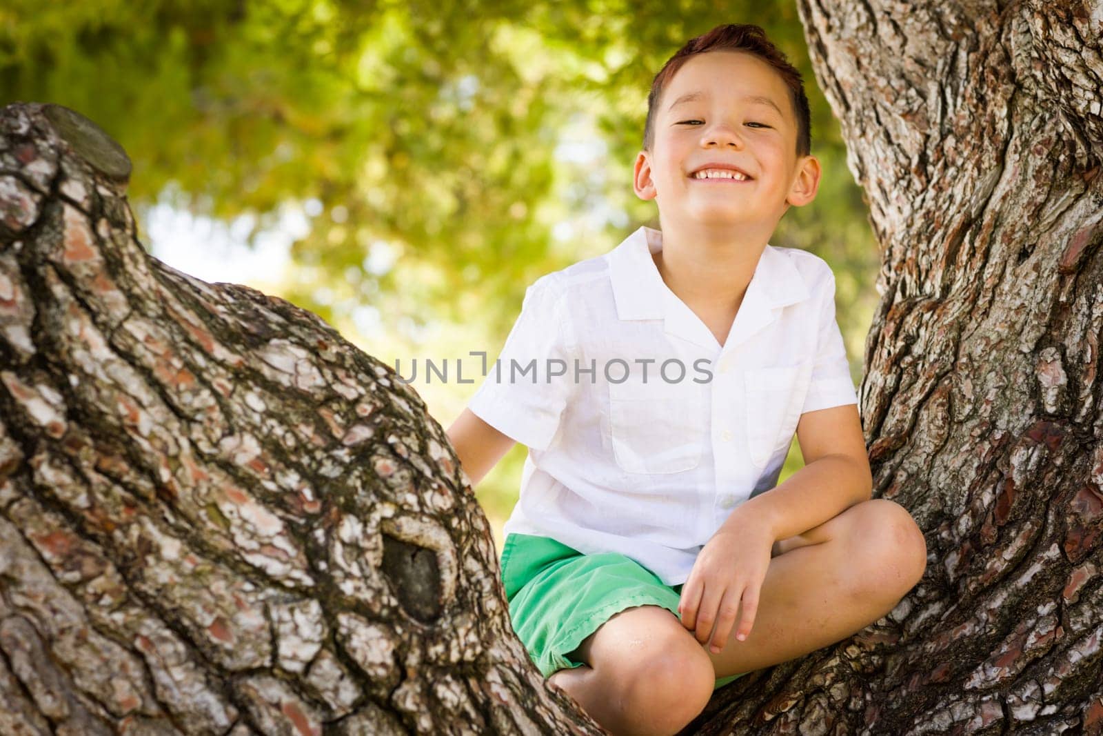 Outdoor portrait of a biracial Chinese and Caucasian boy.