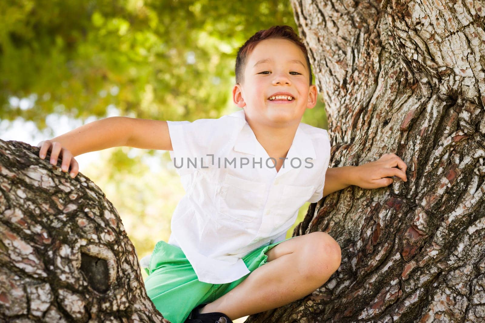 Outdoor portrait of a biracial Chinese and Caucasian boy.