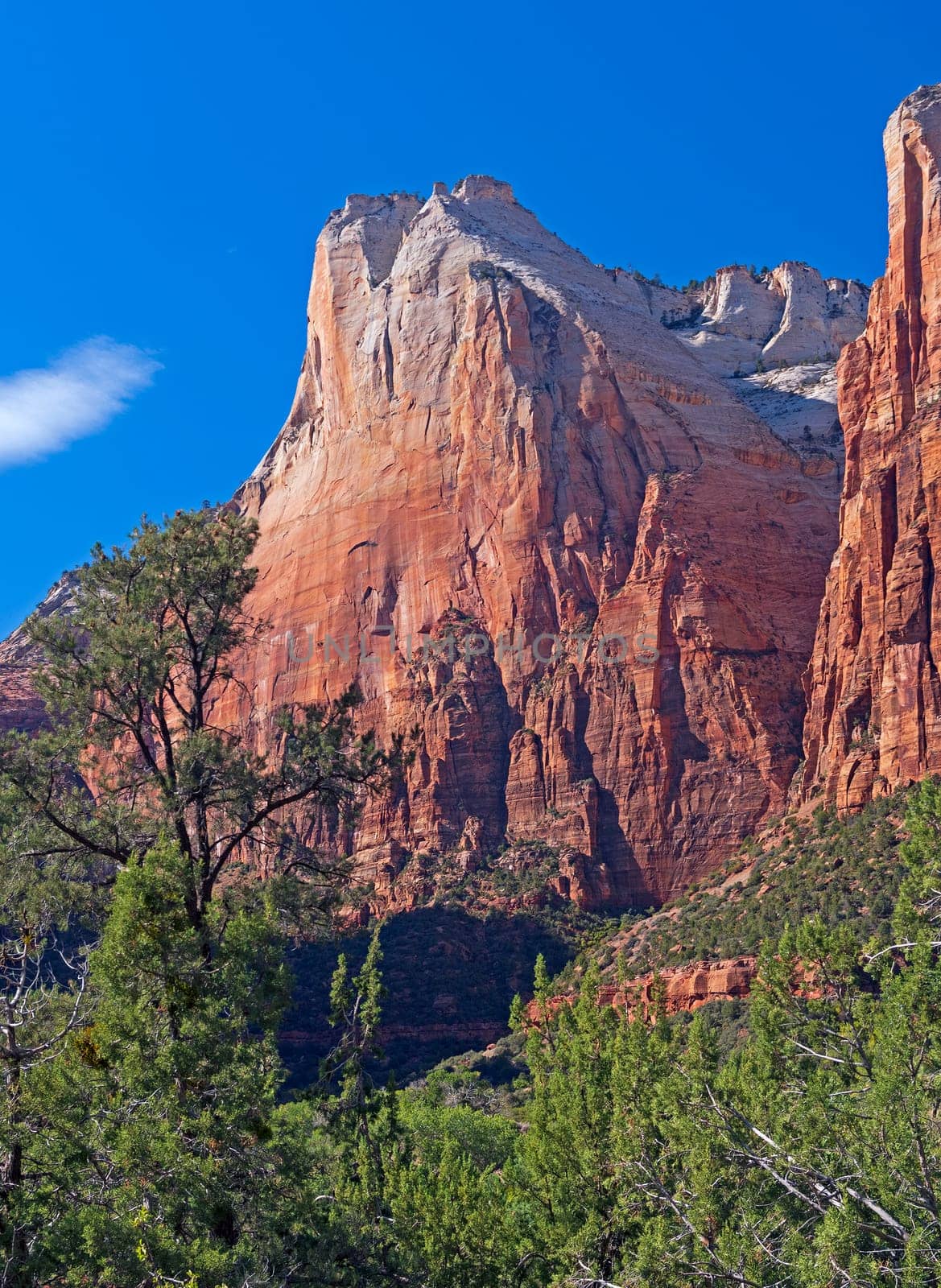 Sandstone Pinnacle in Springtime Light in Zion National Park in Utah