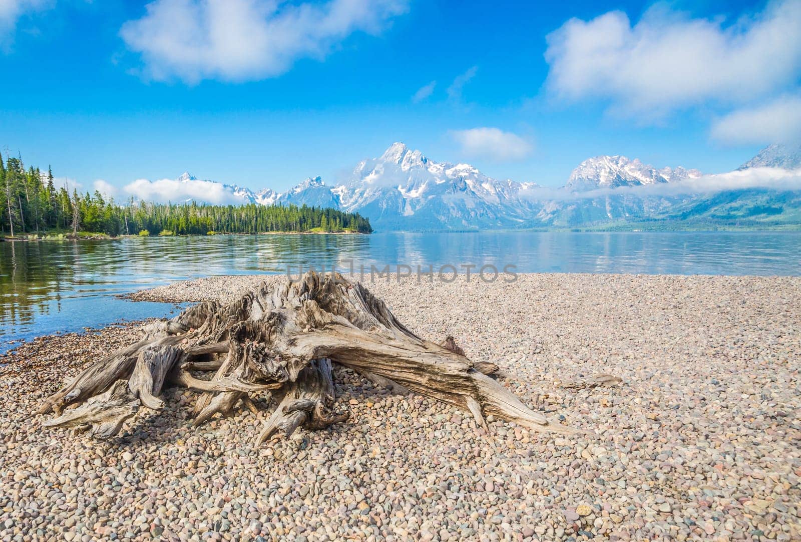 Grand Teton National Park Mountain Range in Wyoming, USA.