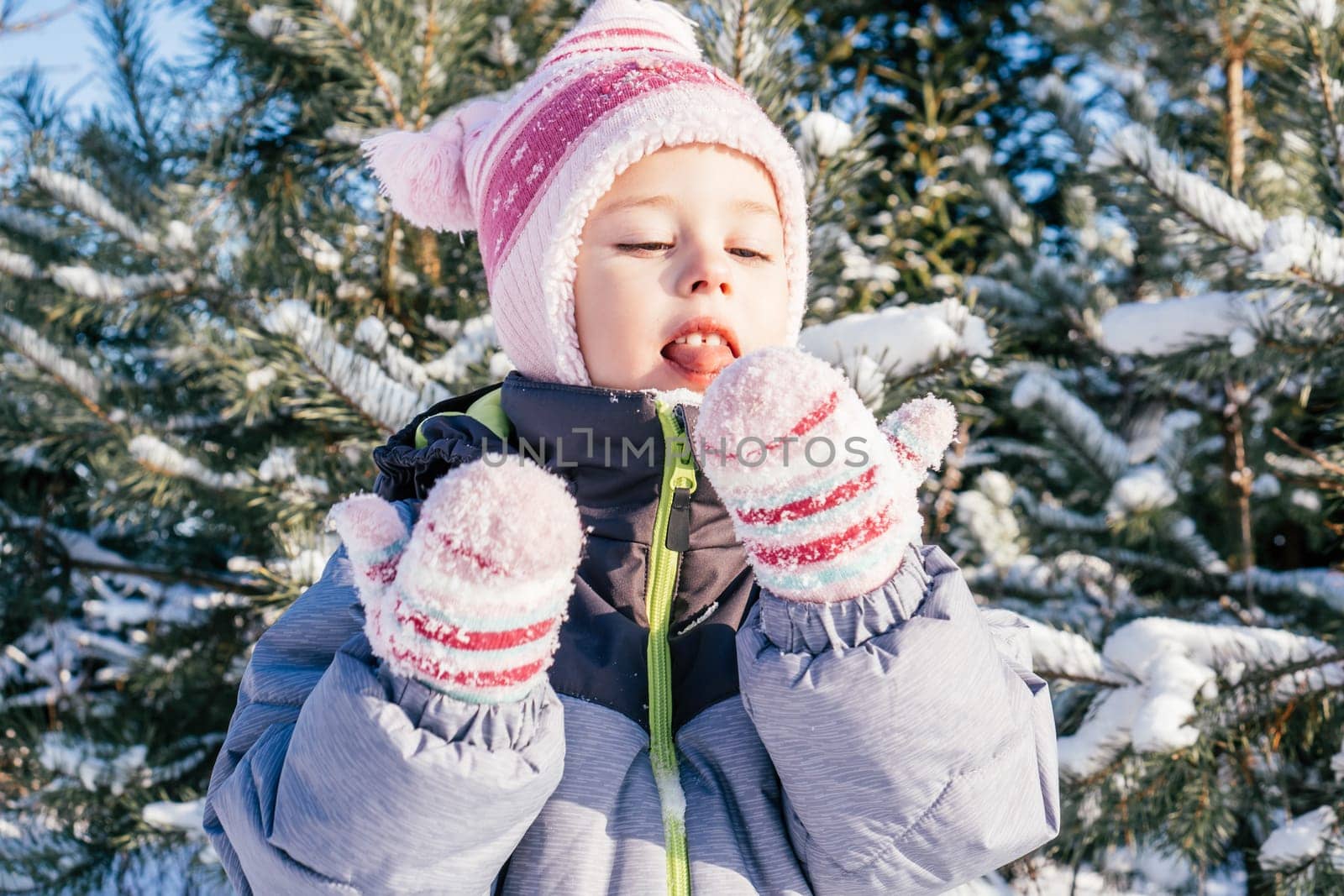 Little girl 3-4 years old in winter clothes overalls, hat and mittens, stands outdoors against snow-covered pines and fir trees and eats snow on sunny day. Winter holidays, children playing outdoors