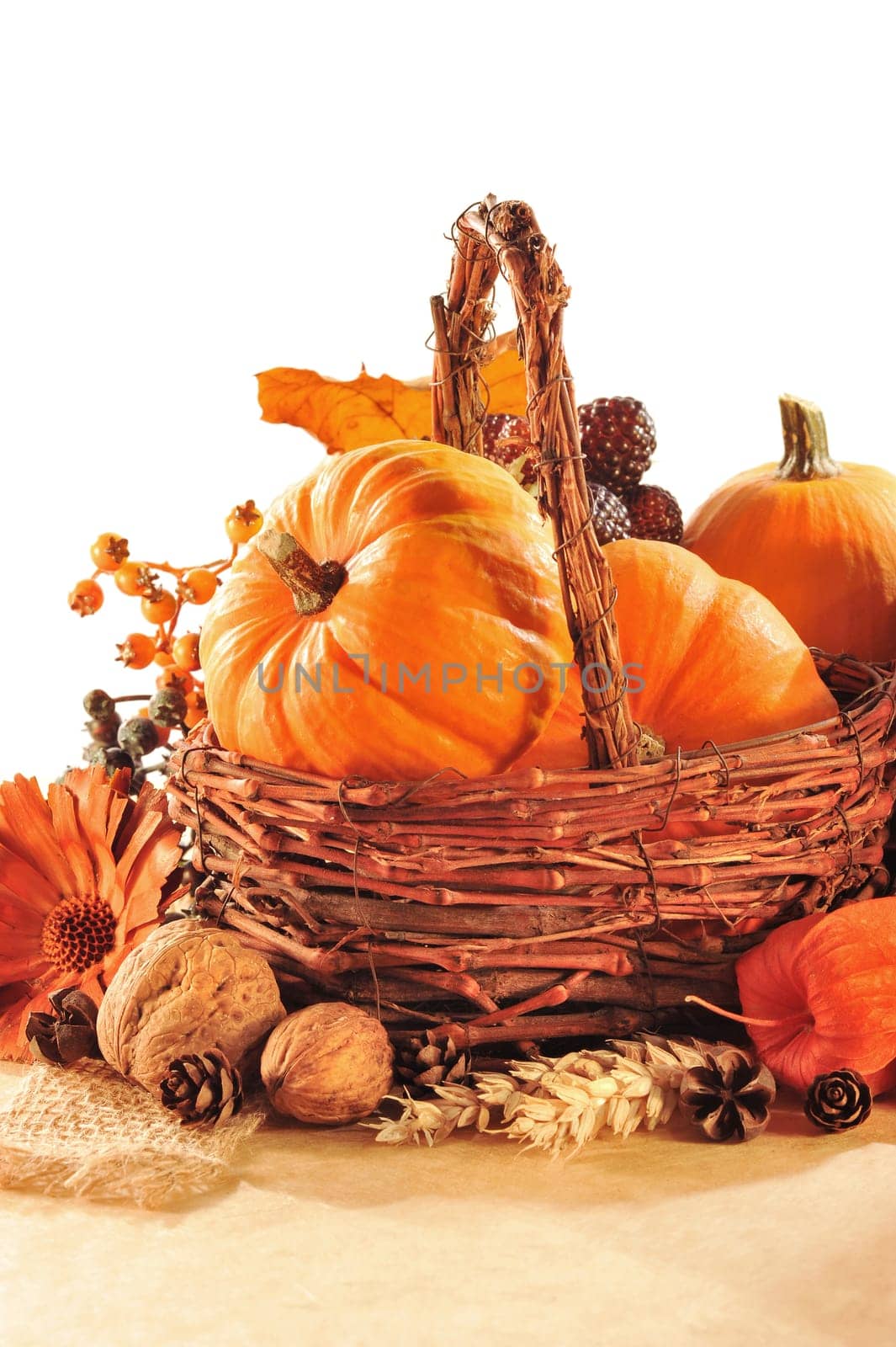 Thanksgiving - various pumpkins in a rattan basket against a white background