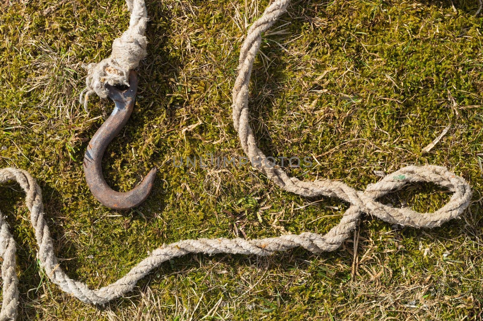 Rusty metal hook with rope lies on the green grass
