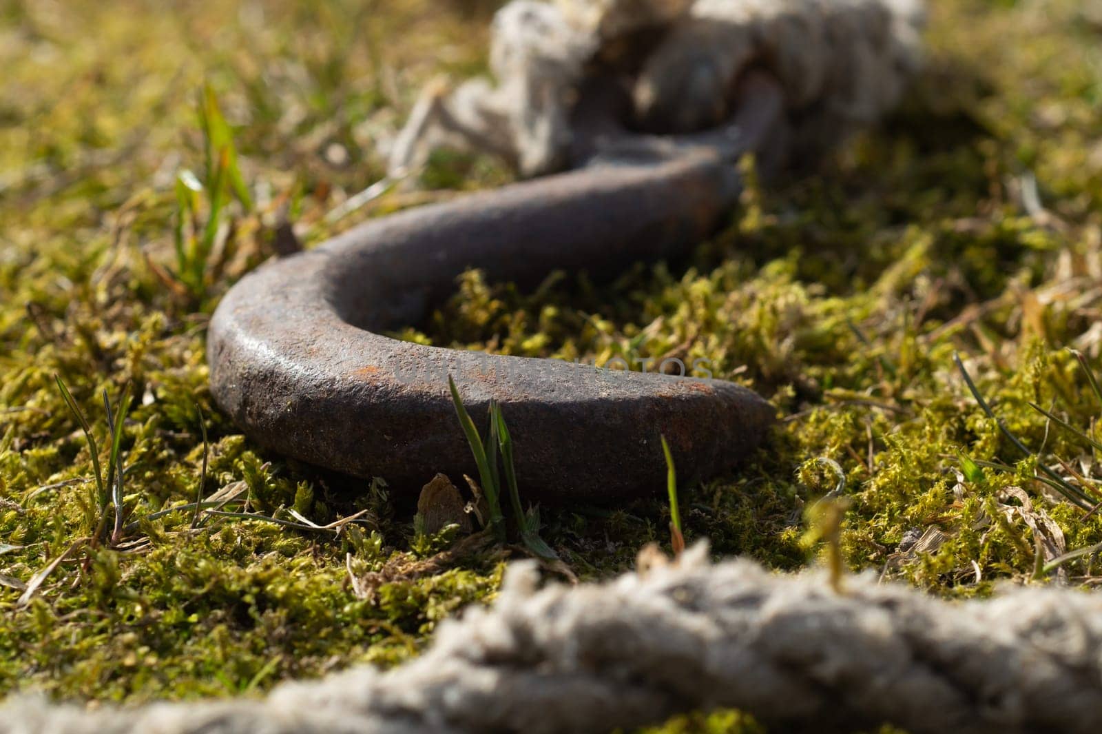 Rusty metal hook with rope lies on the green grass