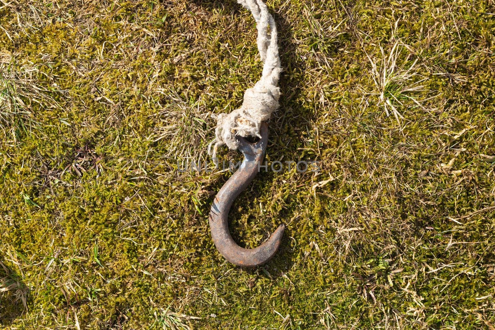 Rusty metal hook with rope lies on the green grass