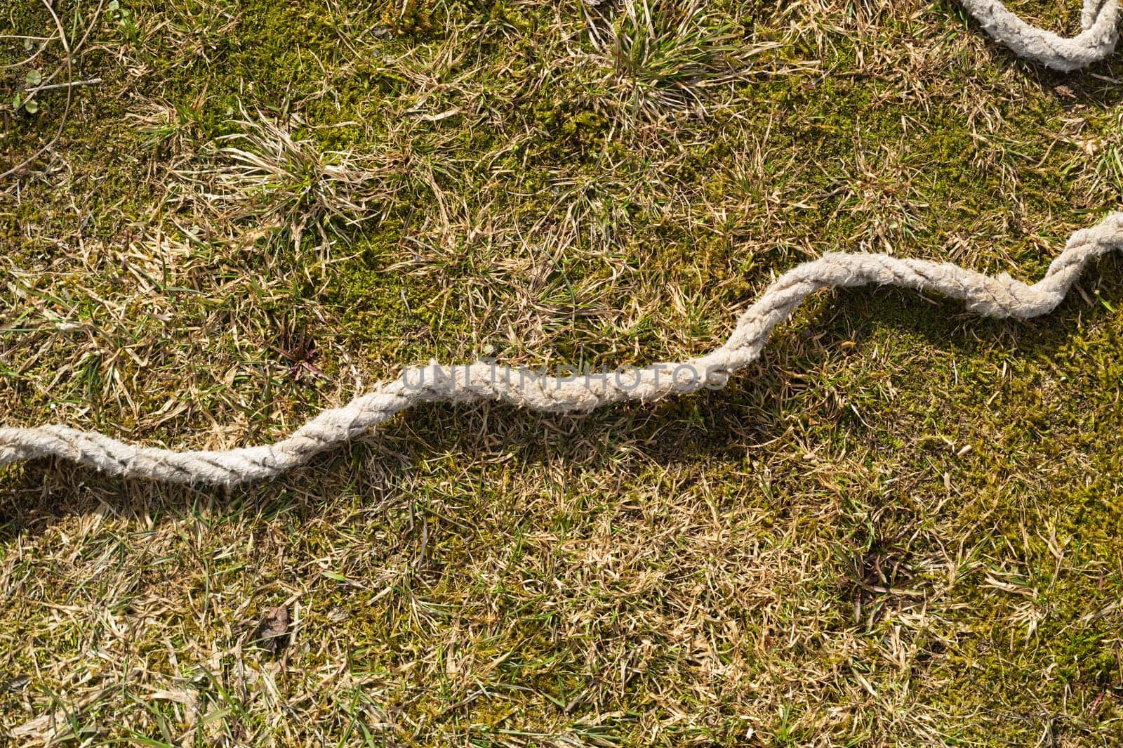 Old rope lies on the green grass. marine equipment